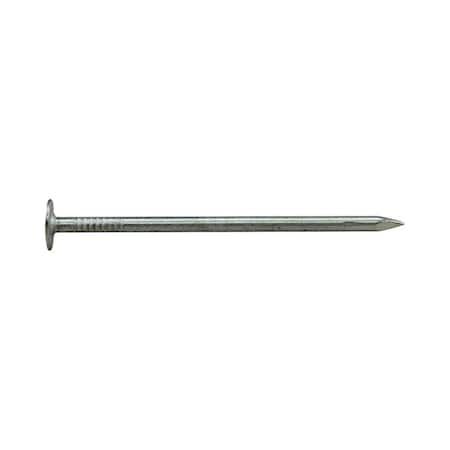 National Nail 2 in. 5 lbs EG Roofing Nail 5693049